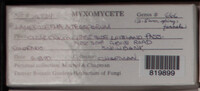 Image Associated With the Occurence